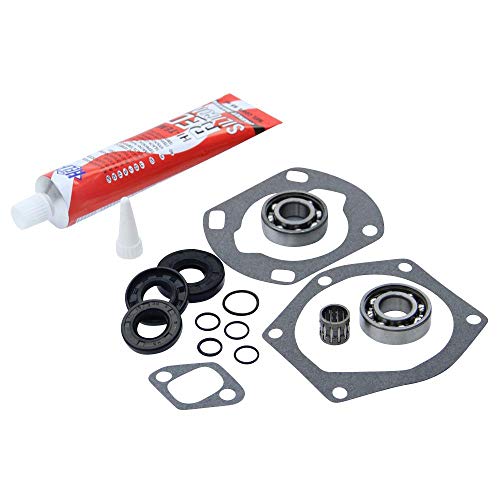 Dichtsatz Wellendichtring SKF Lager Dichtmasse kompatibel mit Hercules Prima 3 5 MX M5 HR2 Sachs 505/2 A B C 2-Gang Motor