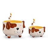 Flower Plant Pots,Cute Cartoon Animal Shaped,Cat,Zebra,Dog,Elephant Designs Succulents Cactus Flower Plant Pot, Handmade Ceramic Pot,Set of 2 (Dog) Royal_Z