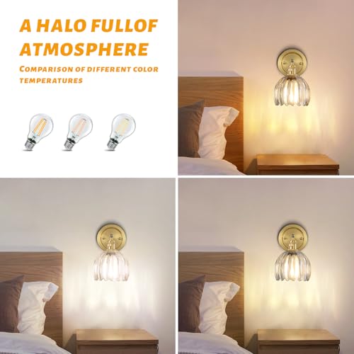 Image of 5 inch Tulip Glass Wall Sconces 180 Degree Adjustable Brass Wall Light Hradwired Modern Wall Lighting Fixture with Switch for Bedside Bedroom Doorway Reading Nook