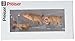Preiser 47048 Domestic Animal Figures, 1/24 1/25 Scale Assorted Piglets 1/25 Model Figure