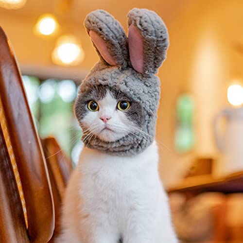 Worparsen Adorable Soft Cat Hat, Rabbit Ears Pet Cat Plush Headwear, Bunny Costume, Ears Warm Dog Ear Cover Winter Hat, Dog Beanie, Festive Christmas Holiday Accessory For Dogs/Cats Grey S #TOP13