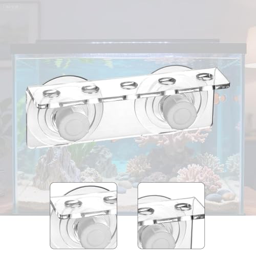 Support pour aquarium à ventouses pour éviter le désordre du bac