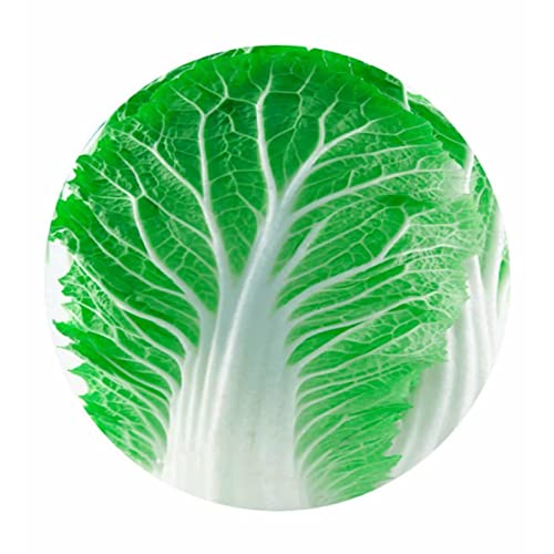 Manta de forro polar de franela de lechuga, divertida manta de alimentos, manta calmante sensorial para un gran sueño, manta ligera súper suave para el hogar, cama, sofá