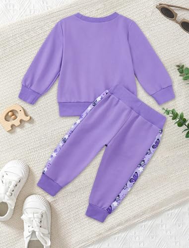 Image of Toddler Baby Boy Girl Clothes with Pockets 2PC Long Sleeve Pullover Sweatshirt and Pants Infant Fall Winter Outfit