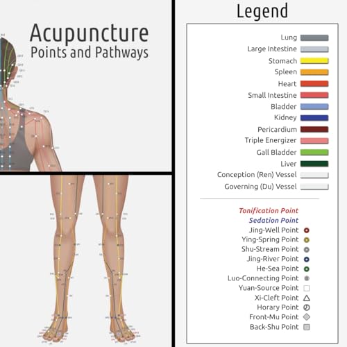 Image of Miridia Acupuncture Chart - Huge Laminated Anatomical TCM Meridian & Points Poster - Clinic /Study Use - Accurate Acupuncture Point Chart - Clear Labels - Comprehensive Meridian System - 36x24, Female