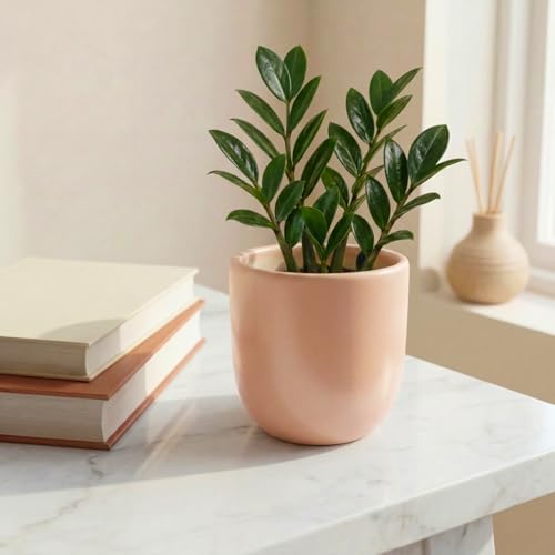 Image of ecofynd 5 Inch Ceramic Plant Pots with Drainage Hole, Modern Decorative Clay Flower Pots for Indoor Plants, Home Garden Decor for Living Room, Bedroom & Interior Spaces (CPOT041-PNK)