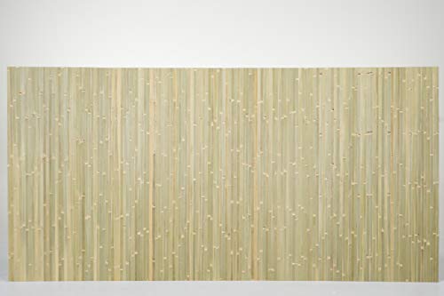 Backyard X-Scapes Bamboo Panels 4ft H x 8ft L Raw Green