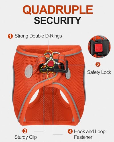 Joytale Hundegeschirr, Reflektierend Weich Gepolstert Hunde Geschirr, Air-Mesh Atmungsaktiv Brustgeschirr für Kleine Mittelgroße Hunde, M, Orange