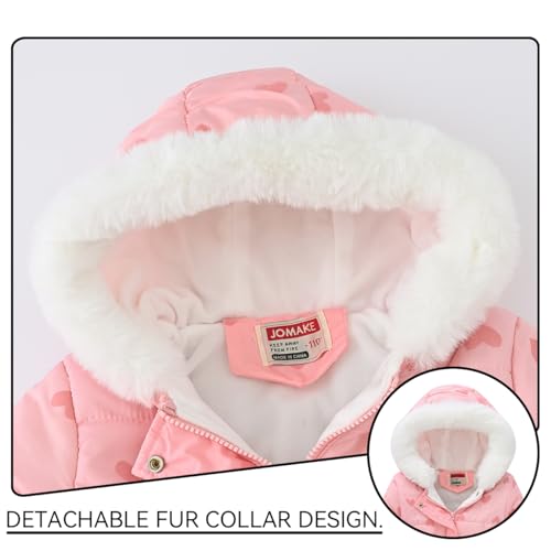 Little Girl Winter Dress Coat Fleece Outwear Puffer Jacket with Hood Kid Clothes3