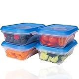 Wüllner & Kaiser Gefrierdosen 4er Set 500 ml, Frischhaltedosen mit Deckel, ideal zum Einfrieren, vielfältig verwendbar