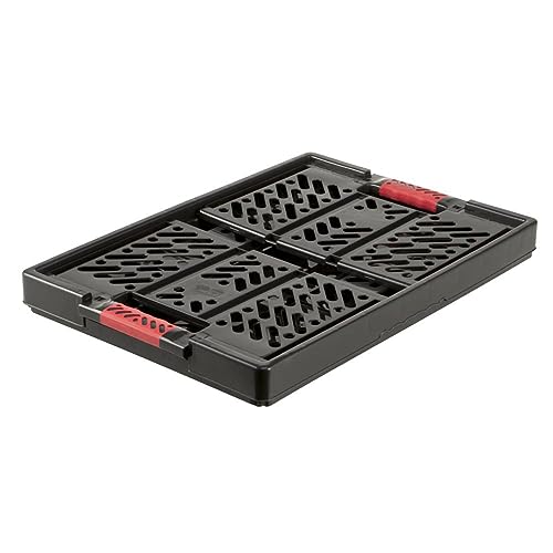 keeeper Stabile Profi-Klappbox mit Soft-Touch Griffen, 54 x 37 x 28 cm, 45 l, Ben, Graphit-Grau