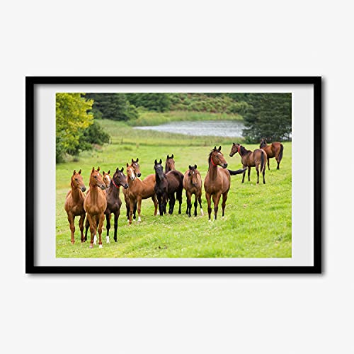 Cadre en Bois Moderne Troupeau De Chevaux Affiche Tableau Décoratif 60x40