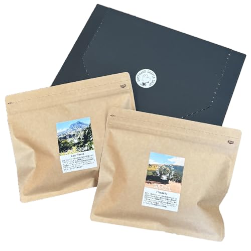 風味際立つ 手鍋 焙煎 コーヒー豆 (南米編) 200g×2袋 セット品