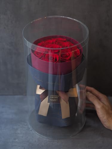 プリプットブーケR【赤いばらレッド置ける花束11本 最愛 beloved ノーマル】プロポーズ、プリザーブドフラワー枯れない花、誕生日記念日。バレンタイン、ホワイトデー、クリスマス、母の日などに