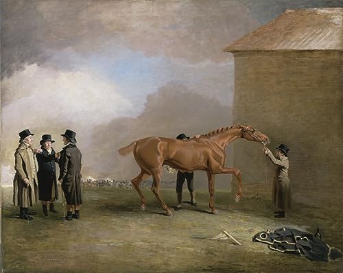 Tableau Muly Moloch un poulain alezan par Newmarket Heath poster vintage en toile 60x90cm