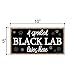 Honey Dew Gifts A Spoiled Black Lab Lives Here 5 inch by 10 inch Hanging Black Labrador Decor, Wall Art, Decorative Wood Sign Home Decor, Fur Mom Gifts, 75493