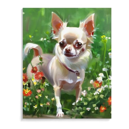 DIY Paint by Number for Adults Beginner Chihuahua Dog Paint by Number on Canvas DIY Oil Painting for Gift Home Wall Decor 12x16inch(30x40cm) Frameless