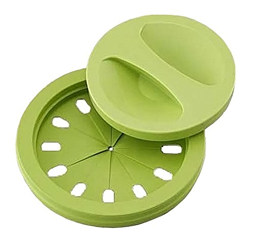 Évier pour chrysanthème ensemble vert SP-204GR importé du Japon