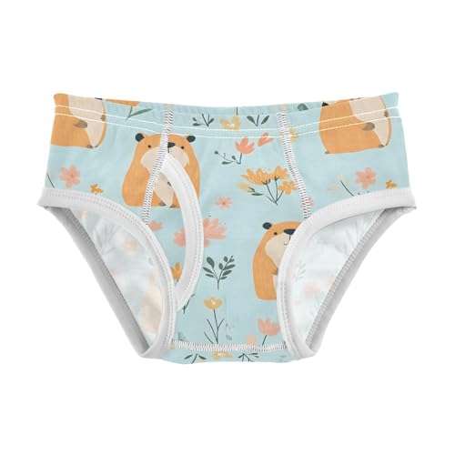 Cute Capybaras Spring Flower Toddler Boy's Underwear 2T 202b9142