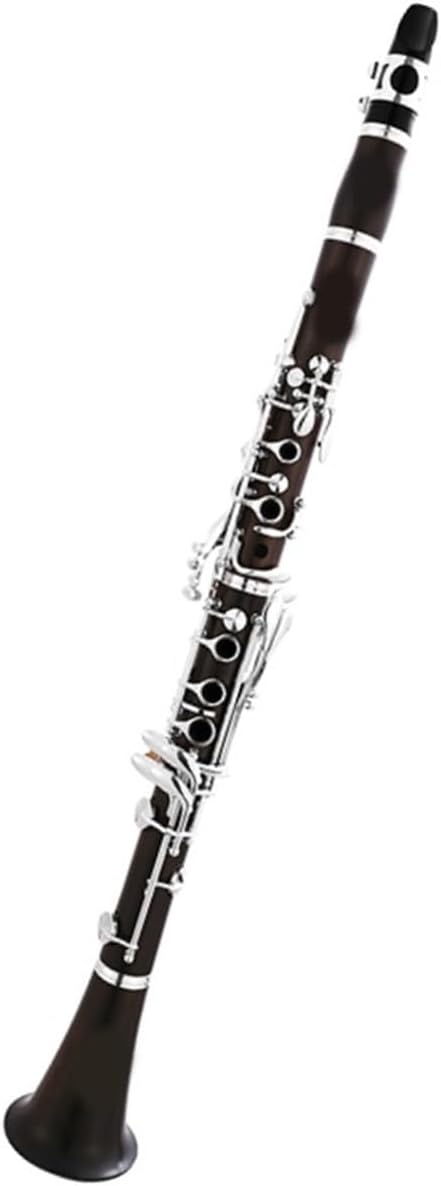 B flat ebony clarinet instrument for adult beginners to take the exam Clarinet