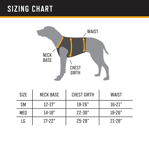 Browning Pet Hi-Vis Safety Vest for Dogs, Safety Orange, Large, Chest Protection