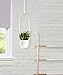 Umbra Bolo Hanging Planter, for Succulents, Herbs and Other Small Plants, Single, White/Brass