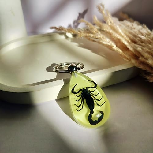 Image of DezArt Glow in the Dark Scorpion Keychain | Preserved Insect Resin Keychain | Unique Handcrafted Gift for Men Women