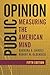 Public Opinion: Measuring the American Mind, Fifth Edition