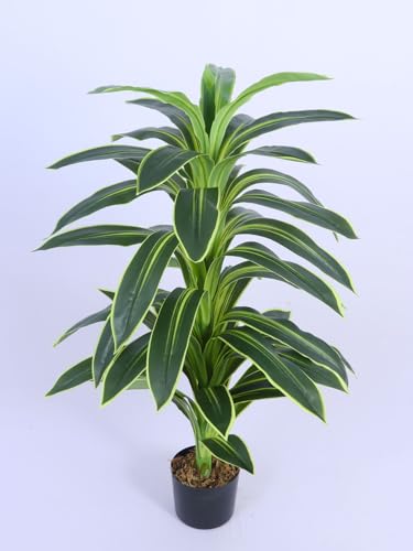 Image of ARICK DECOR 4Ft Artificial Variegated Dracaena Plant in Pot, 4ft Realistic Faux Song of India Tree, White Green Peacock Shaped Floor Plant for Home & Office