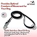 Gummy K9 Biothane Dog Leash, Professional Training Lead, Stainless Steel, New Advanced Safety Clasp, Weatherproof, Waterproof, Long Lasting, 6 Ft (5/8 Black), Small, Medium, Large Dogs, Made in USA