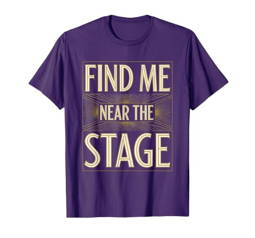 Find Me Near The Stage Concert Lover Design T-Shirt, Men, Purple, 3X-Large