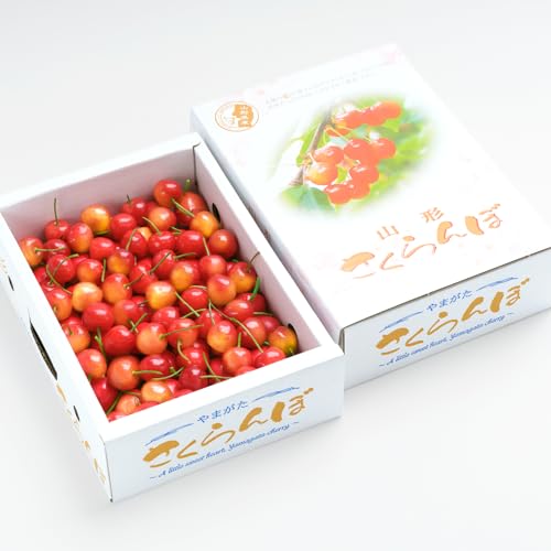 [山形県村山市]先行予約 さくらんぼ 佐藤錦 秀Mサイズ バラ詰め 1.2kg(600g×2箱) 2026年産 令和8年産 山形県産 [6月中旬〜6月下旬頃発送]ns-snsmb1200