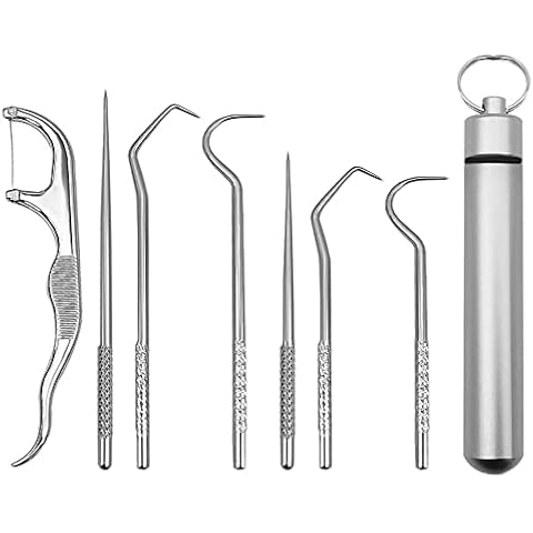 7PCS Dental Floss Kit ,Stainless Steel Toothpick Set Tooth Flossing Reusable Toothpicks Portable Toothpick Floss Teeth Cleaner Oral Cleaning Cover