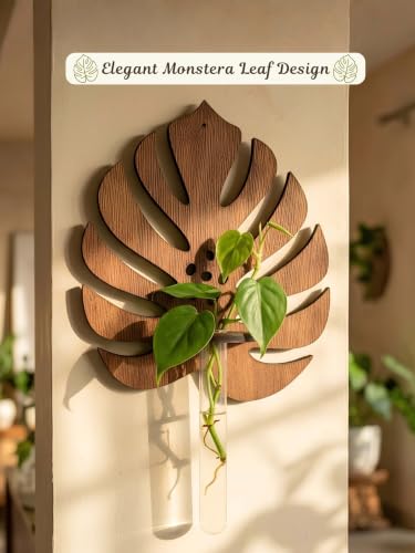 Image of Bombay Greens ; Sow, grow, eat, repeat Monstera Planter with Test Tube Wooden Holder | Indoor Planter Stand | Wooden Planter for Home Decor, Living Room, Balcony & Office Decoration - Pack of 2