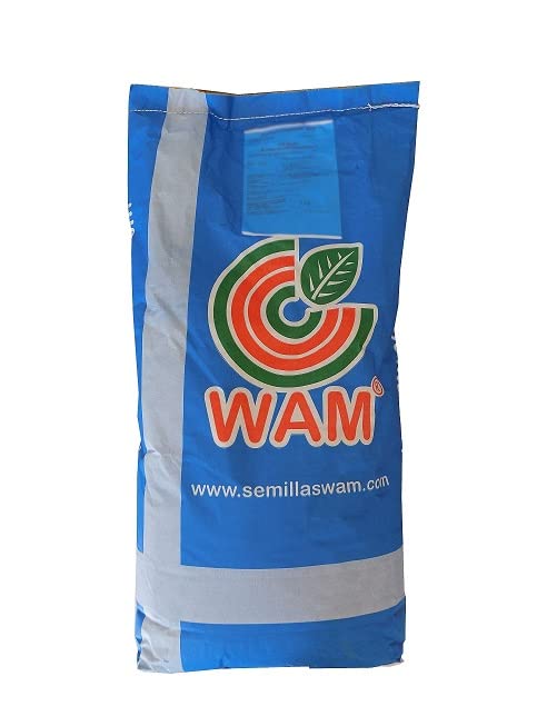 Semillas Forrajeras Ray Grass Italiano TURTETRA Semillas Hierba Premium para Prados, Praderas, Pastos para Animales - Saco 5 kg