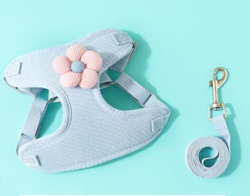 Mearrineser bV^ђ^iCybgg\OʋC߉\ȔL̎ւ킢iCn[lXA߉\ȃ\tgbVxXgqZbghbO[VxXg^efBrVt[[|jAhbOEH[LO[V