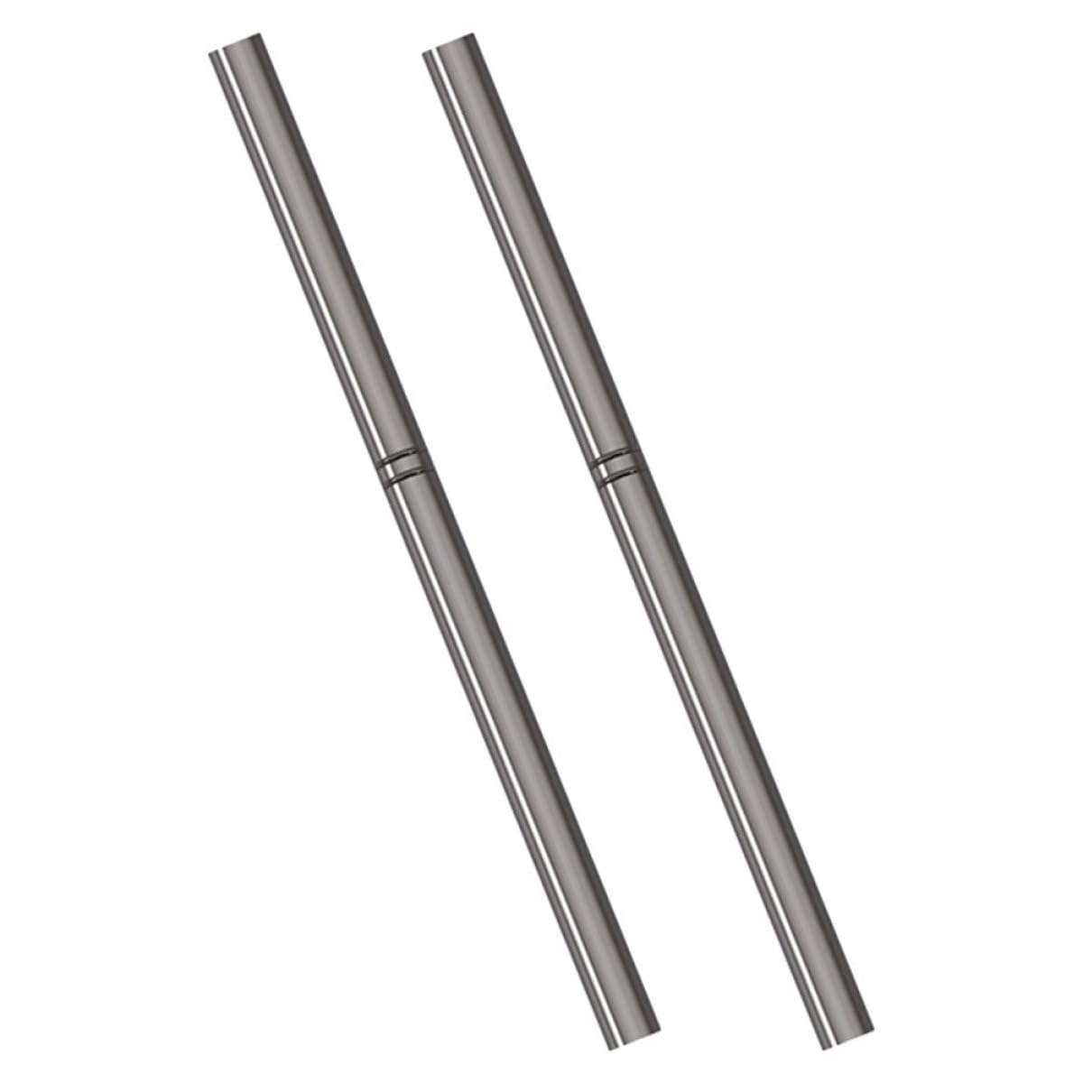 Penna per Pittura Unghie in Metallo Pennello Tondo 2 Pezzi, Pennelli per Manicure Art per Utilizzo Professionale e Domestico, Strumenti per Smalto e Decorazione Unghie