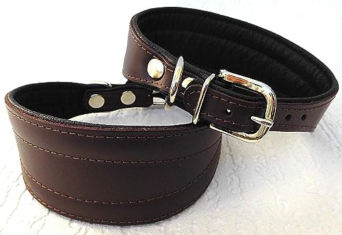 Greyhound Podenco Windhund - Halsband, Halsumfang 33-38 cm Leder °BRAUN°