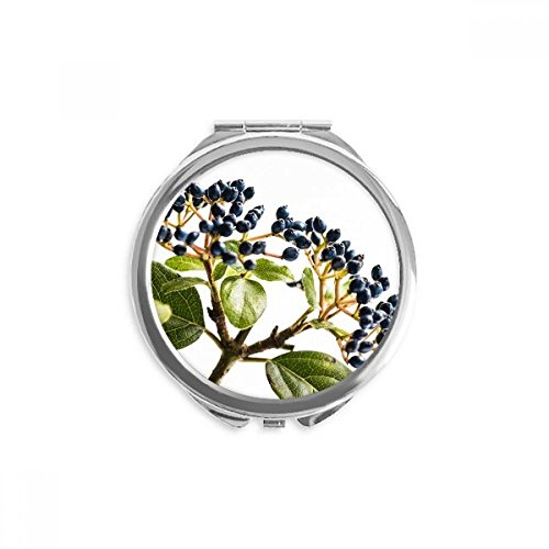 Miroir de poche plante nature élégant rond finitions soignées