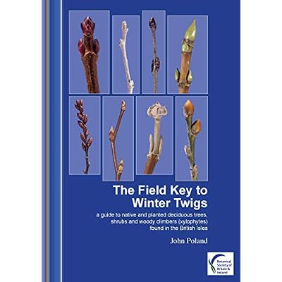 Field Key to Winter Twigs