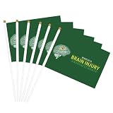Brain Injury Awareness Month Flag Small Flags Stick 5.5'' X 8.2'' Hand Held Flags For Festival Party Decorations Six Piece