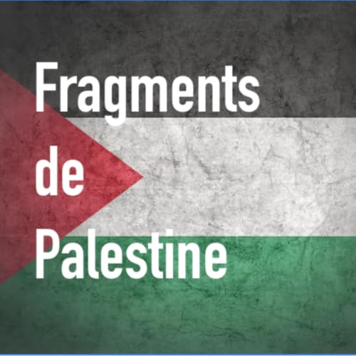 La solidarit&eacute; des arabes envers la Palestine avec Youssef Boussoumah