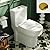 DeerValley 12" Rough-In Small Compact One Piece Toilet For Bathroom with Gold Button