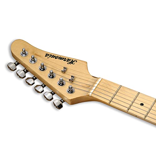 The 29 Best Double Electric Guitars of 2024 [Verified] Cherry Picks