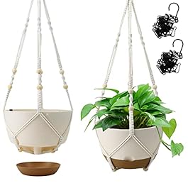 Hanging Planter Self...