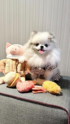 Nocciola 9-in-1 Quieschendes Hundespielzeug mit Knister, Lustiges Schwein Spielzeug für Hunde, Unzerstörbares Hunde Kuscheltier, Interaktives Kauspielzeug für Welpen, Kleine, Mittel, Große Hunde