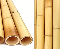 bambus-discount.com – bambus-discount.com 1x Bambusrohr 200cm Moso gelb Gebleicht 