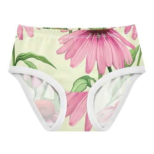 Pink Echinacea Flowers Green Leaves Panties Little Girl Toddler Underwear Floral Cotton Print Briefs Underpants 2t - Main Image