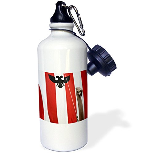 3dRose Alaska, Petersburg Model Norwegian Viking Ship-Us02 Bja0205-Jaynes Gallery Sports Water Bottle, 21 oz, White