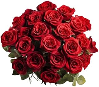 Ramo de Rosas Rojas Natural con 25 Flores de Color Puro y Elegante Rosas para Regalar